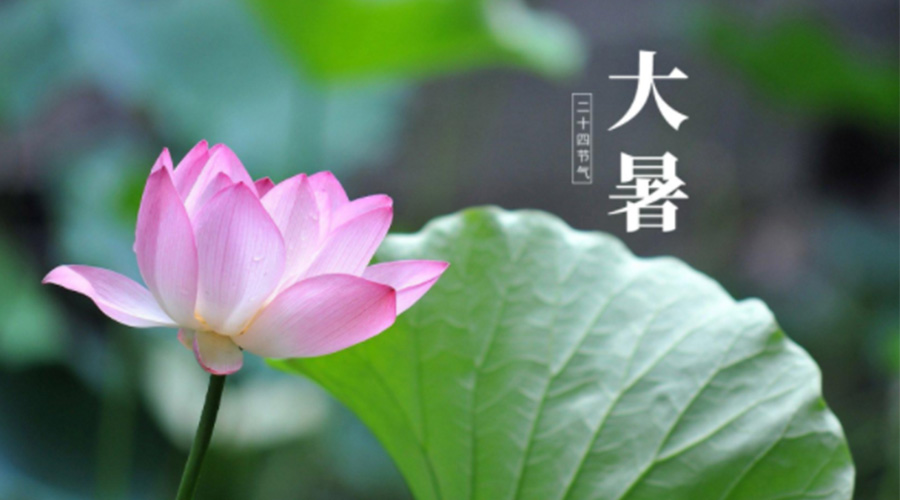 大暑時節(jié)！金環(huán)電器提醒大家注意這些干衣細節(jié)