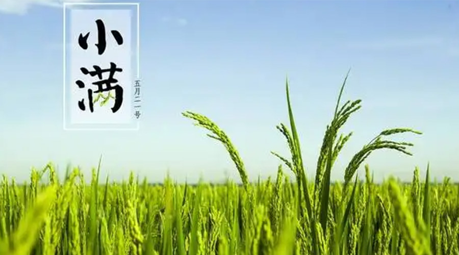 小滿時(shí)節(jié)！金環(huán)電器提醒大家要注意的事項(xiàng)