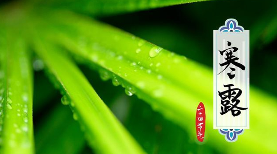 寒露時(shí)節(jié)到！金環(huán)電器提醒這些干衣事項(xiàng)要注意