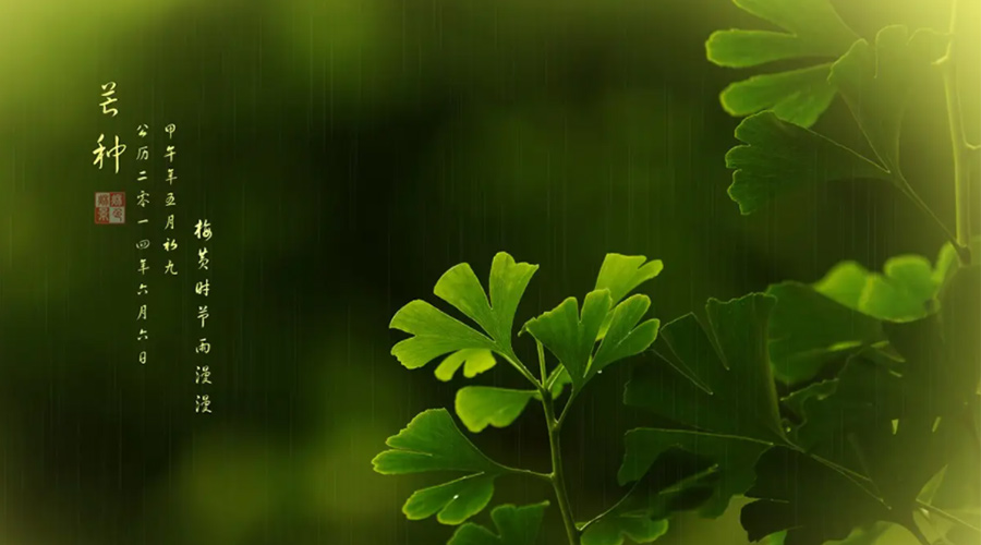 芒種時(shí)節(jié)！金環(huán)電器提醒大家的注意事項(xiàng)